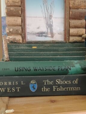 🌿  Vintage HardCover Book 🌱 USING WAYSIDE PLANTS NELSON COON 1969